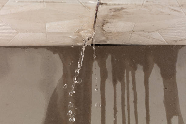 Professional Water Damage Repair technician working in Aniwa, WI